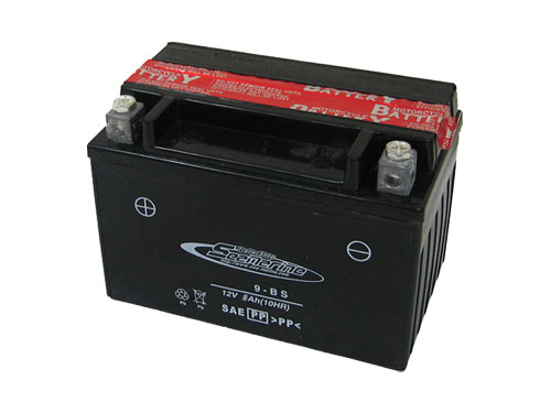 �I�[�g�o�C�p�o�b�e���[(ZTX9-BS)