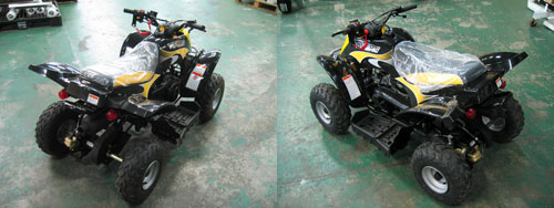 ���Ão�M�[ VIPER 50MINI_3
