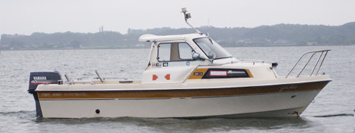 ���Õ��i��� �{�[�g YAMAHA FISH 17B big4